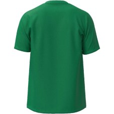 Mizuno Training Tee – Pánské sportovní triko – Zelená
