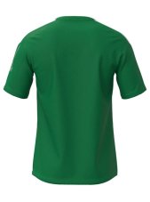 Mizuno MZNRB Tee – Pánské sportovní triko – Zelená