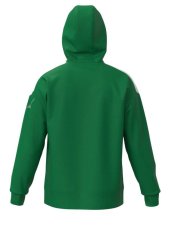 Mizuno MZNRB Track Jacket – Pánská lehká sportovní bunda – Zelená