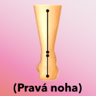Neutrální došlap