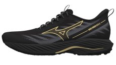 Univerzální běžecká obuv Mizuno WAVE RIDER GTX 2