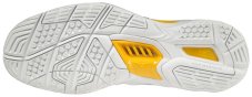Halová obuv Mizuno WAVE STEALTH V
