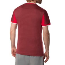 Mizuno Stargazer Shadow Graphic Tee – Pánské tenisové triko – Červená