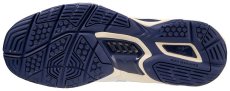 Halová obuv Mizuno WAVE PHANTOM 3