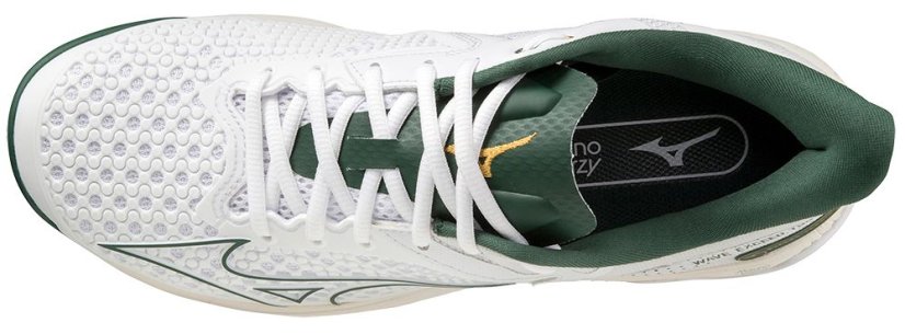 Tenisová obuv Mizuno WAVE EXCEED TOUR 5AC