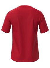 Mizuno MZNRB Tee – Pánské sportovní triko – Červená
