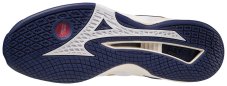 Halová obuv Mizuno WAVE STEALTH NEO