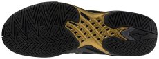 Tenisová obuv Mizuno WAVE EXCEED TOUR 6 AC 10th