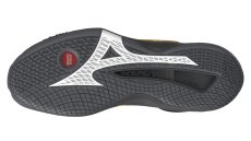 Halová obuv Mizuno WAVE STEALTH NEO