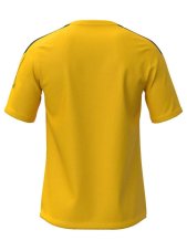 Mizuno MZNRB Tee – Pánské sportovní triko – Žlutá