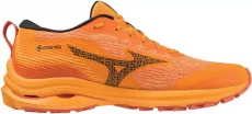 Univerzální běžecká obuv Mizuno WAVE RIDER GTX